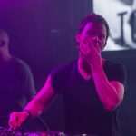 fedde revelin 8
