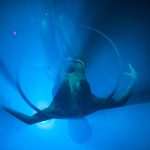 Glow in the Dark u Revelinu