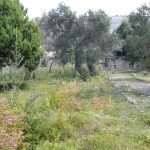 lazaret lokrum1