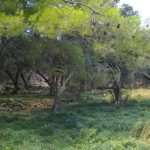 lazaret lokrum3