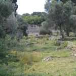 lazaret lokrum5