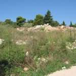 otpad solitudo05