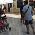 spitza 220814 14