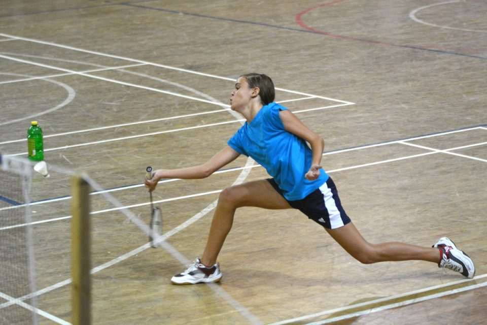 badmington 12
