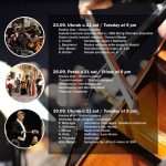 DSO i koncert majstor Darko Linarić u Dvoru 1 dubrovacki simfonijski orkestar plakat