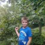 eko omblici smokve 17