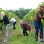 gulliver wine dine 3