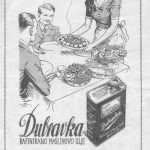 maslinovo ulje dubravka