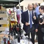 plavac mali terre del gusto 110914 1