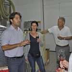 plavac mali terre del gusto 110914 4