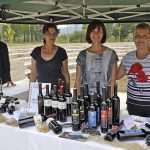plavac mali terre del gusto 110914 8