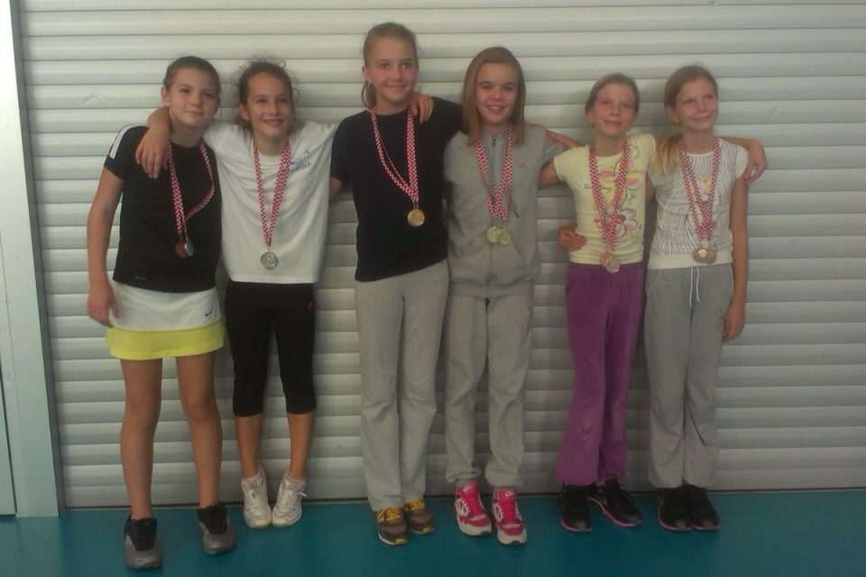 aedium badminton01
