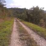 agroturizam istra 02