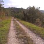 agroturizam istra 3