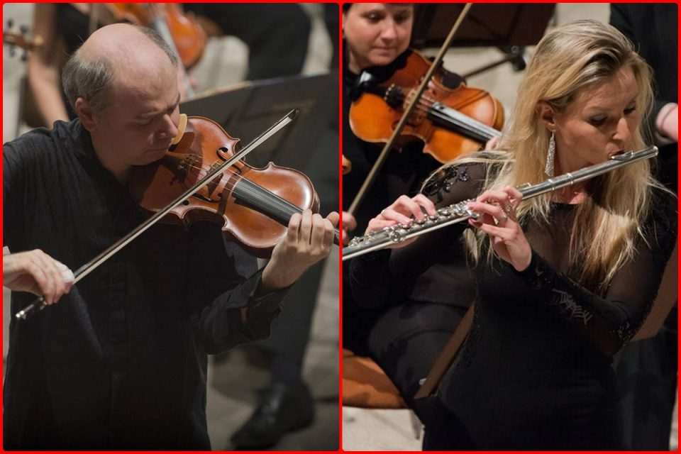 angeleri gjaja dso01