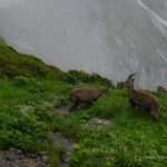 HPD Sniježnica preko Mont Blanca do Sponze i Kune... 26 dolomiti i mont blanc HPD 01