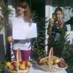 omblici jabuka 1
