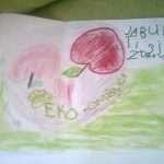 omblici jabuka 5