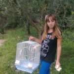omblici24