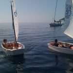 orsan jedrenje optimist 11