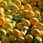placa mandarine005