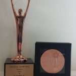 stevie award dlji