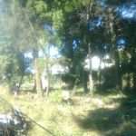 37 eko patrola 01
