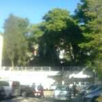 37 eko patrola 02