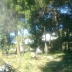 37 eko patrola 07