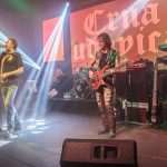 crna udovica 2014 revelin 9521