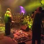 crna udovica 2014 revelin 9765