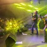 crna udovica 2014 revelin 9791