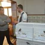 izlozba ptice 021114 1