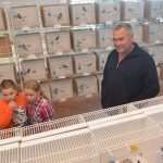 izlozba ptice 021114 12