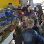 izlozba ptice 021114 18