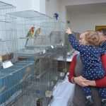 izlozba ptice 021114 3