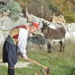 osojnik popret13