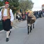 osojnik popret23