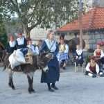 osojnik popret31