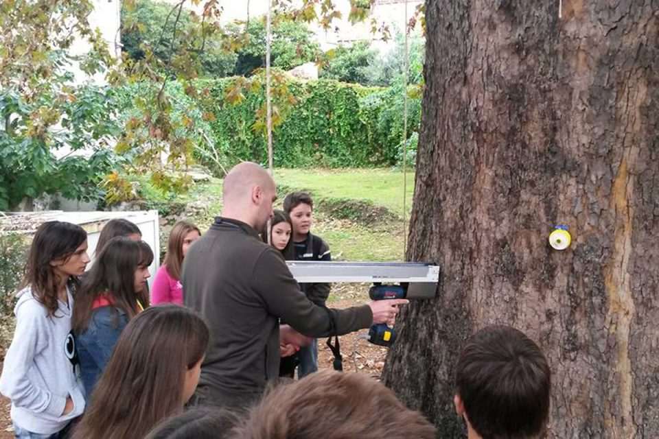 platan lapdska skola2