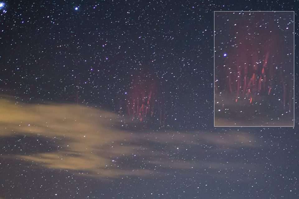 red sprite basic 01