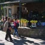 svi sveti groblje 011114 59
