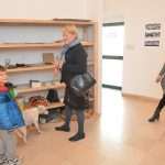 Umjetnici za napustene zivotinje