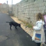 Peta Eko patrola u Mokošici