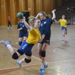 FOTOGALERIJA Rukometašice iz cijele županije zaigrale za Pava! 6 Rukometašice za Pava