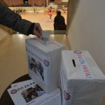 FOTOGALERIJA Rukometašice iz cijele županije zaigrale za Pava! 4 Rukometašice za Pava