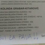 izbori svi za pava 110115 1