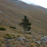 sv Brdo Velebit HPD 013