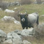 sv Brdo Velebit HPD 030