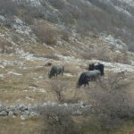 sv Brdo Velebit HPD 031